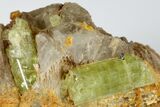 Lustrous, Yellow Apatite Crystals In Calcite - Morocco #185454-1